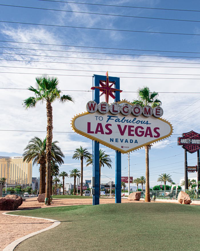 story-02 Famous Welcome to Las Vegas sign surrounded by palm trees on a sunny day.